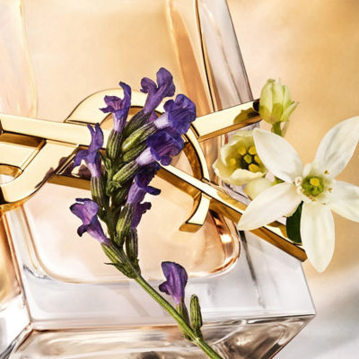 Buy YVES SAINT LAURENT Libre Eau De Parfum Online in Singapore