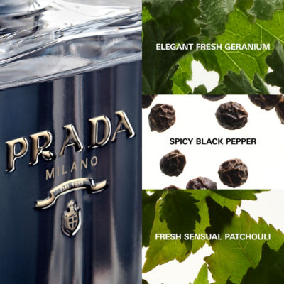 値下げ！！PRADA L'HOMME 100ml EDT 新品 Buy PRADA L'Homme EDT Online in Singapore | iShopChangi