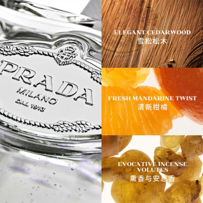 PRADA Infusion de Cèdre EDP 100ml 3