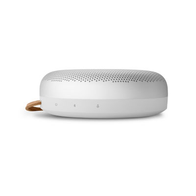 Beoplay a1 best sale google assistant