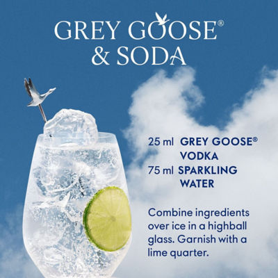 GREY GOOSE 法国灰雁伏特加 1000ML 40% 4