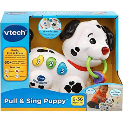 Buy VTech Pull Along Puppy Pal Toy Online in Singapore | iShopChangi