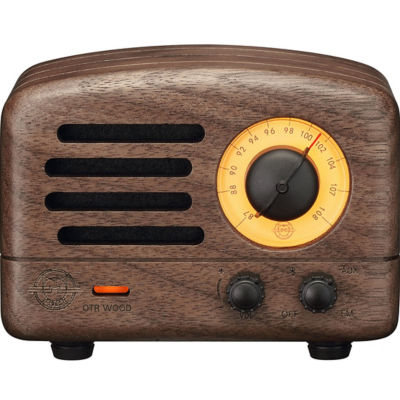 fm radio speaker online