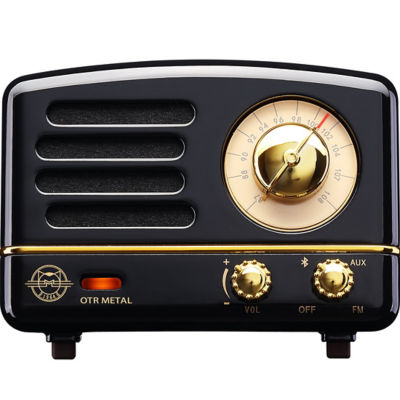 fm radio speaker online