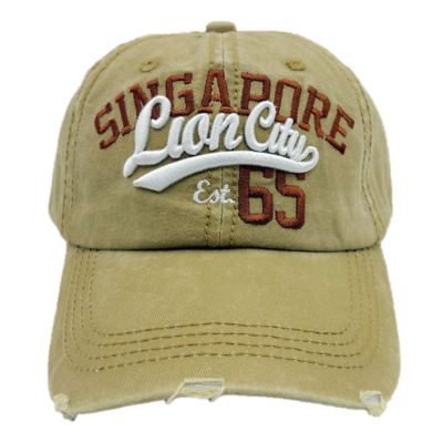 SINGAPORE SOUVENIRS 新加坡设计潮流帽 1