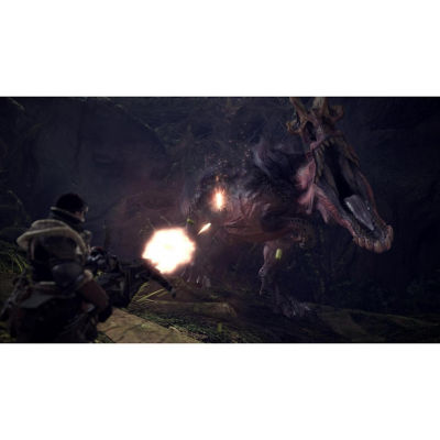 SONY PS4 Monster Hunter World /R2 12