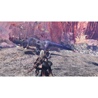 SONY PS4 Monster Hunter World /R2 13