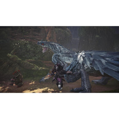 SONY PS4 Monster Hunter World /R2 17