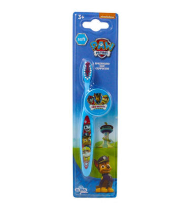 paw patrol toothbrush gift set