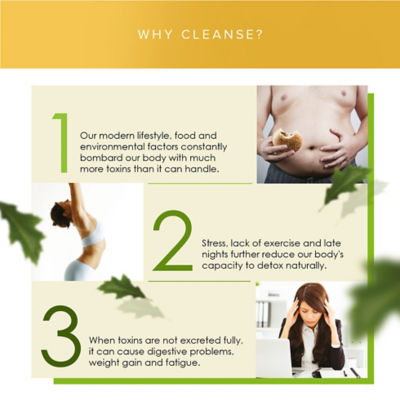 Kinohimitsu Wellness Smooth'D Cleanse & Shape 15's 6