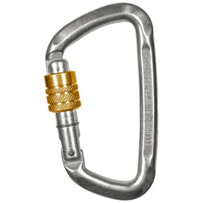 Buy Climbing Technology 3C476 DShape Steel SG Carabiner Silver Online
