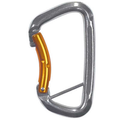 Buy Climbing Technology 3C334 GYM Steel Carabiner Online Singapore