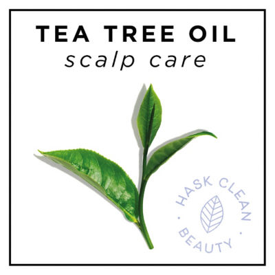 Buy HASK Tea Tree Oil & Rosemary Invigorating Shampoo 355ml Online in ...