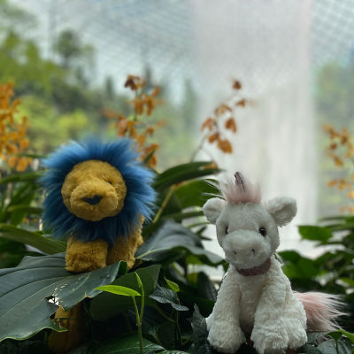 NEW outlets Jellycat Smudge Changi Splash Lion Singapore Airport Overseas-Limited Plush