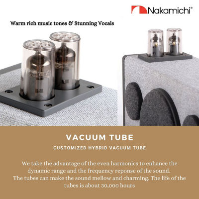 Buy Nakamichi Solo 1 Hybrid Vacuum Tube Speaker System Online in
