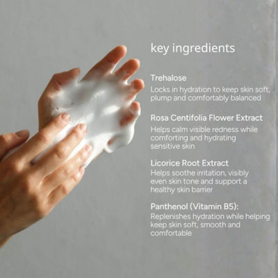 ést.lab  Est Lab ActivCalm Gentle Hydrating Cleansing Mousse 3