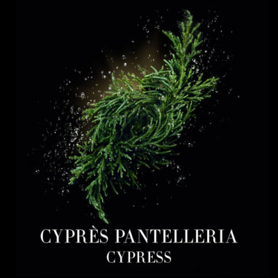 GIORGIO ARMANI Privé Cyprès Pantelleria EDT 100ml 4