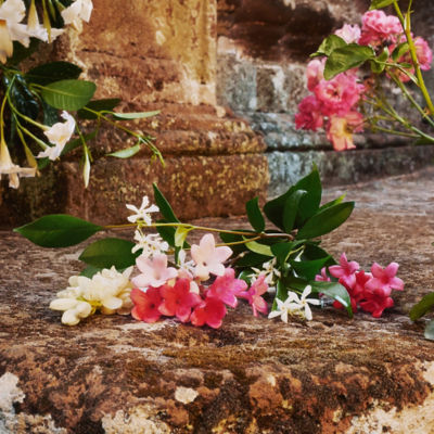 GUCCI Bloom Eau de Toilette 5