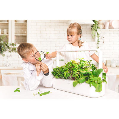 Buy Click Grow The Smart Garden 9 Online in Singapore iShopChangi