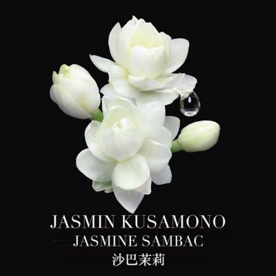Buy GIORGIO ARMANI Privé Jasmin Kusamono EDT Online in Singapore