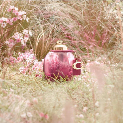 Buy COACH Wild Rose EDP Online in Singapore | iShopChangi