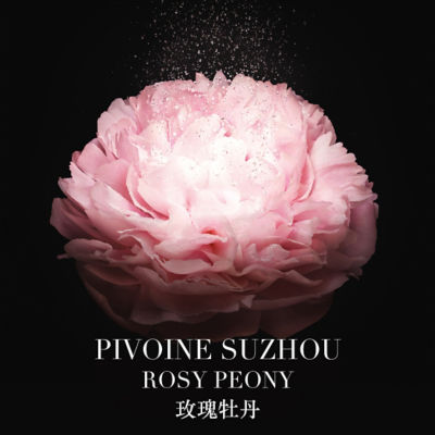 Buy GIORGIO ARMANI Privé Pivoine Suzhou EDT Online in Singapore