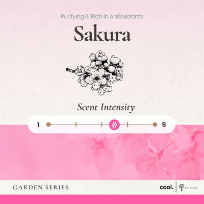 Pristine Sakura Reed Diffuser 50ml 2