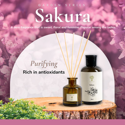 Pristine Sakura Refill 2