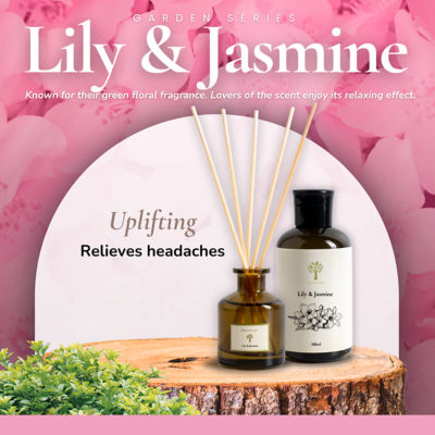 Pristine Lily & Jasmine Refill 2
