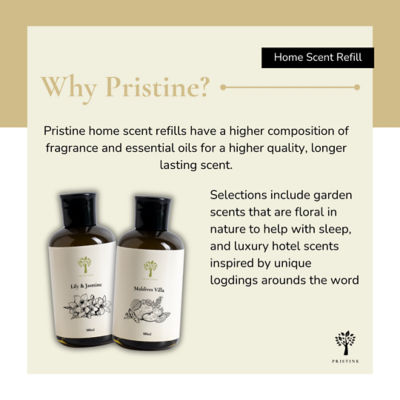 Pristine Lily & Jasmine Refill 7