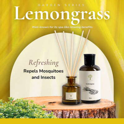 Pristine Lemongrass Refill 2