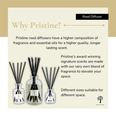 Pristine Ivory Coast Cotton Reed Diffuser 7
