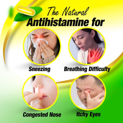 Buy Perfect Quercetin for Immunity Sinus Allergy Itchy Eye Natural