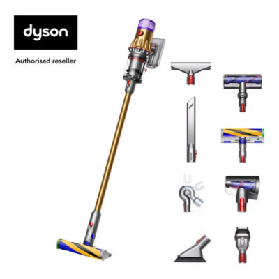 Buy Dyson V12 Detect ™ Slim Absolute Gold Cordless Vacuum Cleaner Online in  Singapore