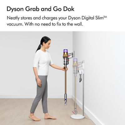 Buy Dyson V12 Detect ™ Slim Absolute Gold Cordless Vacuum Cleaner Online in  Singapore