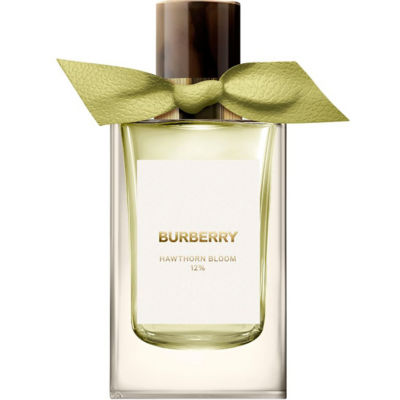 Buy BURBERRY Signatures Hawthorn Bloom 12% Eau De Parfum Online in