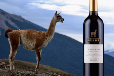 Llama OLD Vine RED Blend