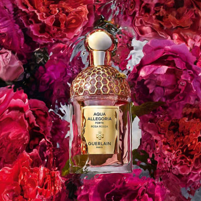 劇レア　アバクロ　NORTH EAST Eau de Cologne 50mL ライトスケープ – NOSE SHOP