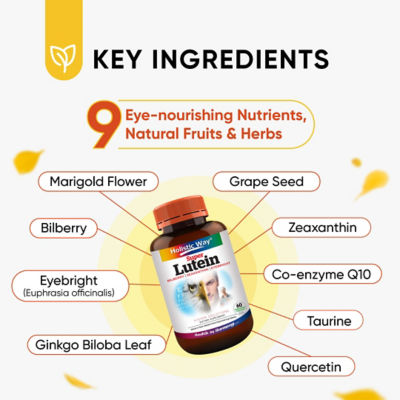 Buy Holistic Way Super Lutein Online in Singapore