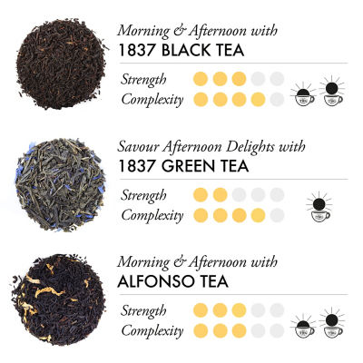 TWG Tea | 仲夏假日冰茶包礼盒 3
