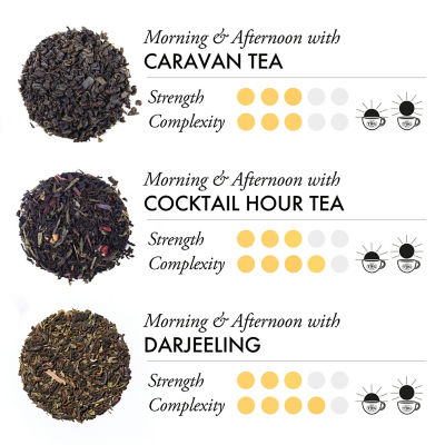 TWG Tea | 仲夏假日冰茶包礼盒 4