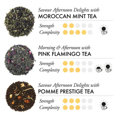 TWG Tea | 仲夏假日冰茶包礼盒 6