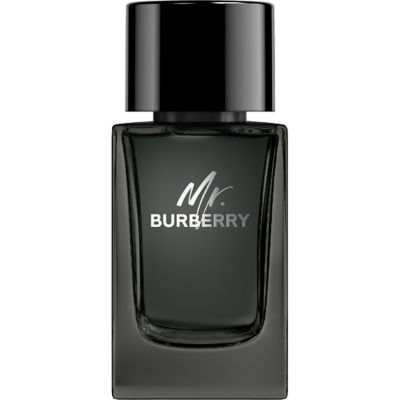 Buy BURBERRY Mr. Burberry Eau de Parfum Online in Singapore