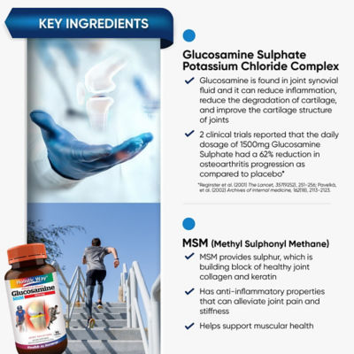 Holistic Way [Bundle of 2] Holistic Way Premium Grade Glucosamine 1500mg + MSM (90s) 5