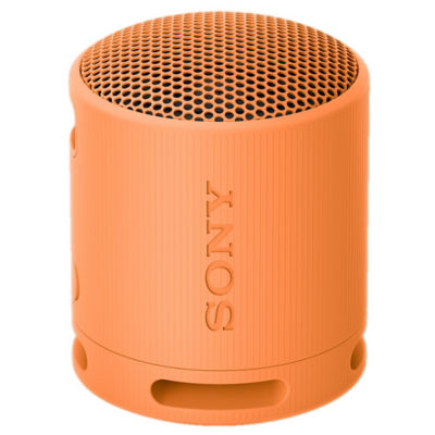 SONY 索尼 SRS-XB100 Portable Wireless Speaker 1