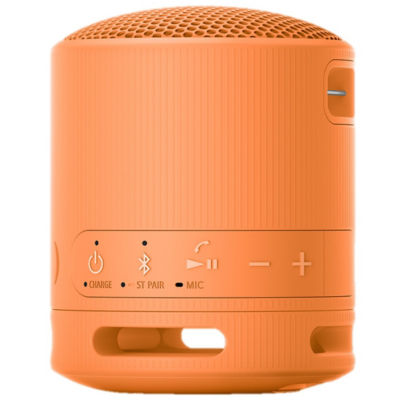 SONY 索尼 SRS-XB100 Portable Wireless Speaker 2
