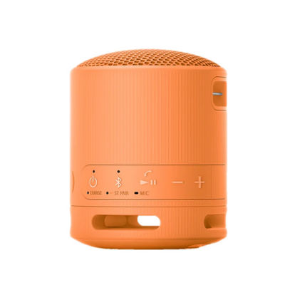 Sony XB100 Portable Wireless Speaker 3
