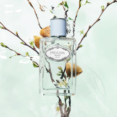 Buy PRADA Infusion de Amande EDP 100ml Online in Singapore