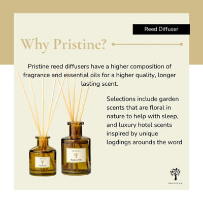 Pristine Casa Particular Reed Diffuser 180ml 6