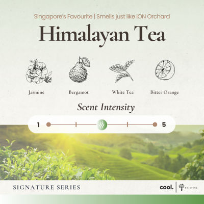 Pristine Himalayan Tea Refill 180ml 2